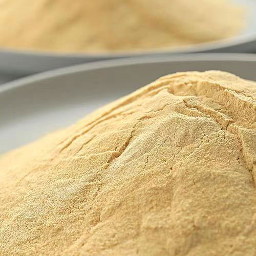 autolyzed yeast
