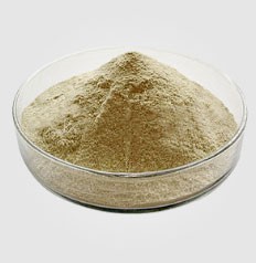 Quelle est la valeur nutritionnelle de la levure en poudre ?